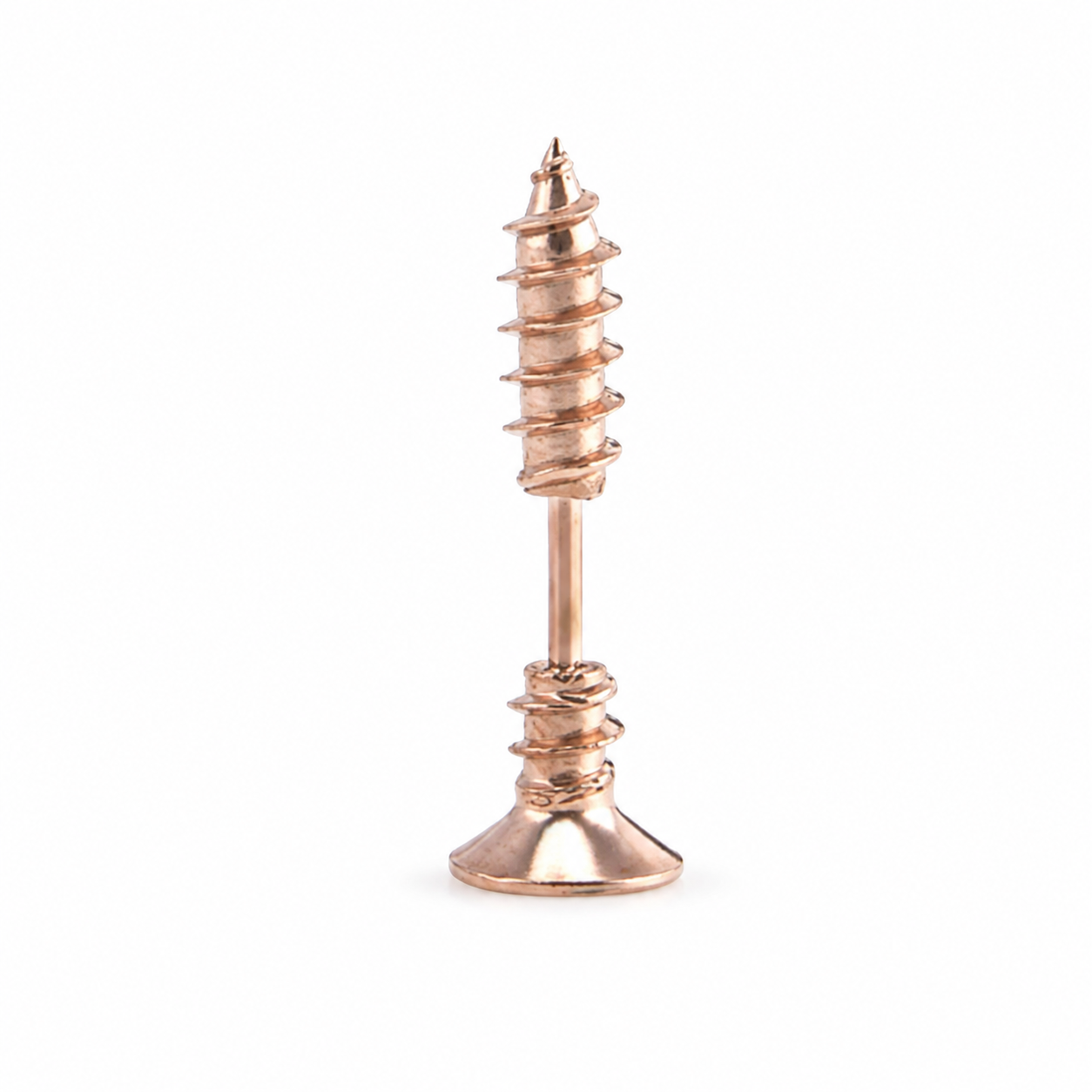 Screw Earring