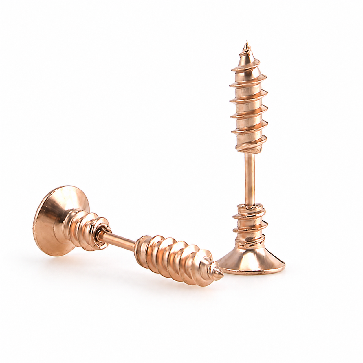 Screw Earring